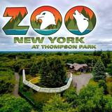 Zoo New York