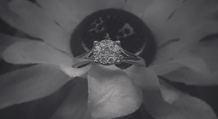 Footer image