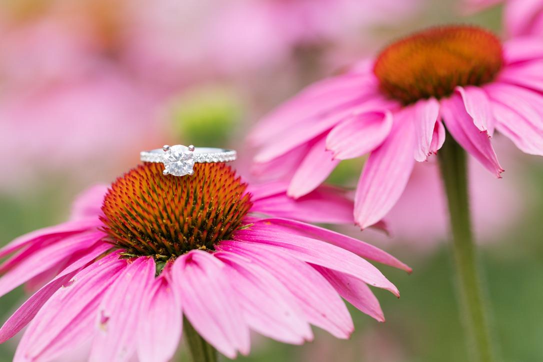 The Wedding Website of Catherine Kim and Zachary Reim