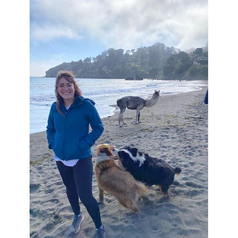 For those that don't know, Chelsea loves llamas. So yeah, she was STOKED. This lady just randomly walked her LLAMA and dogs onto the beach while we were there!!