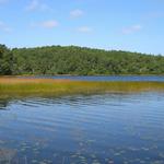 Visit a Pond!