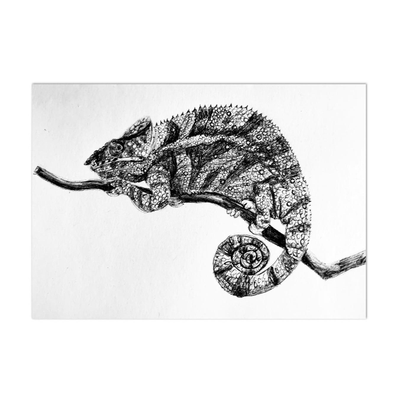 Karma Chameleon 
Ink on Paper
5x7 
Framed
Suggested Price: $30