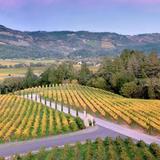 Napa Valley