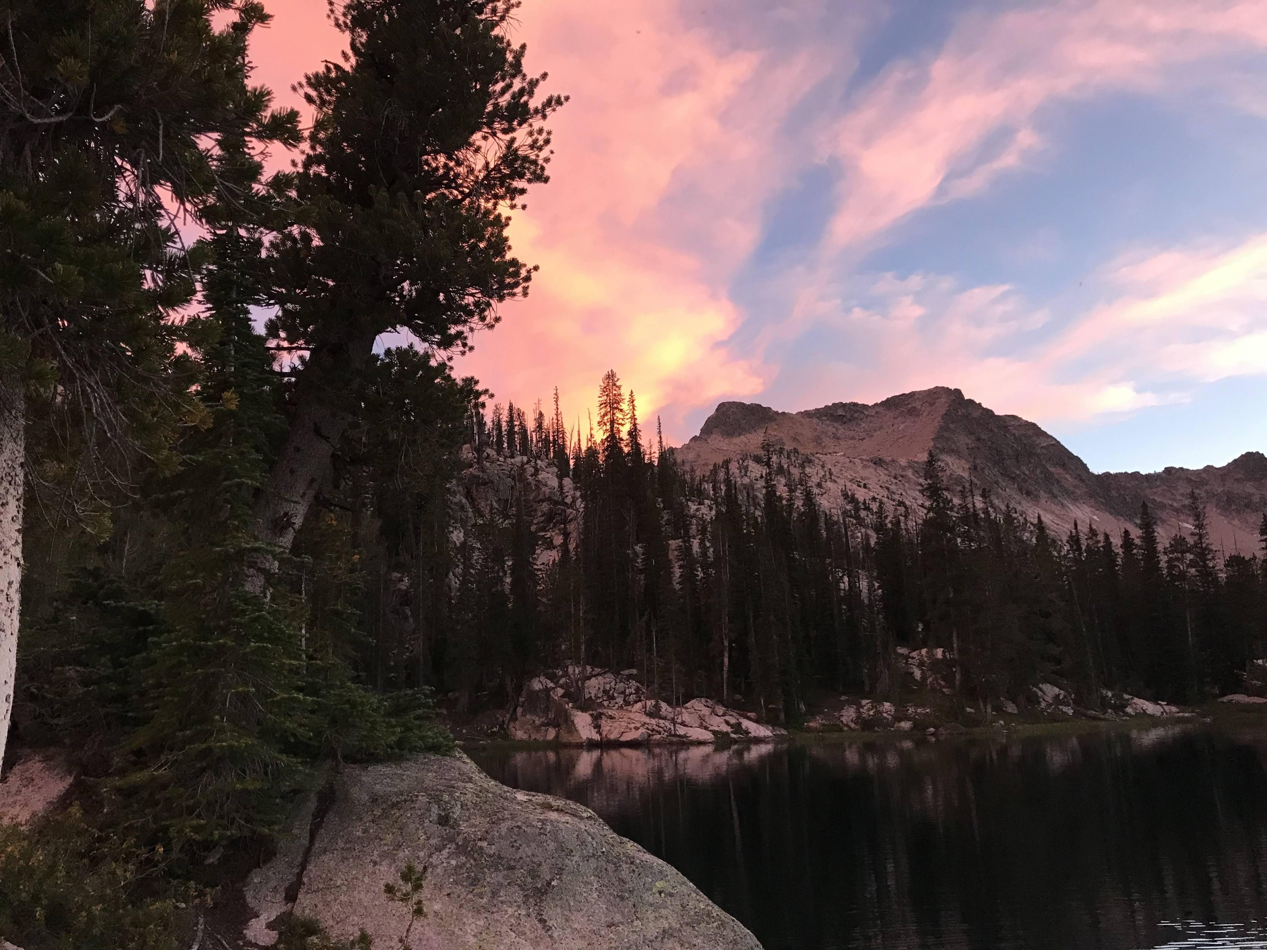 b70dd338-a930-46d1-88b3-623d1d2d3d21