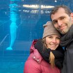 Mystic Aquarium