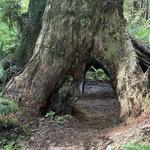 Various Hiking Trails