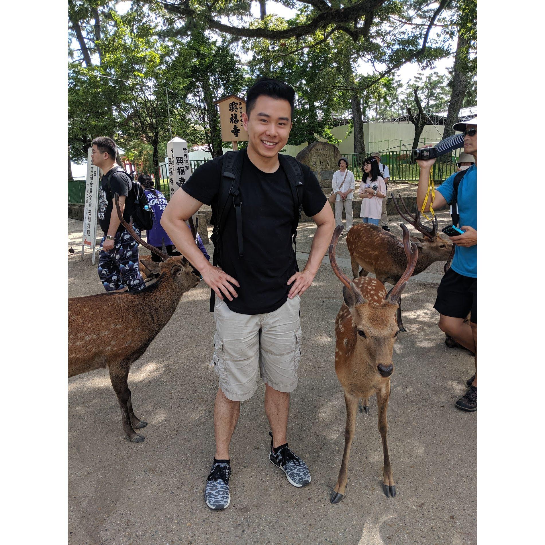James and a Deer in Nara, Japan 2019