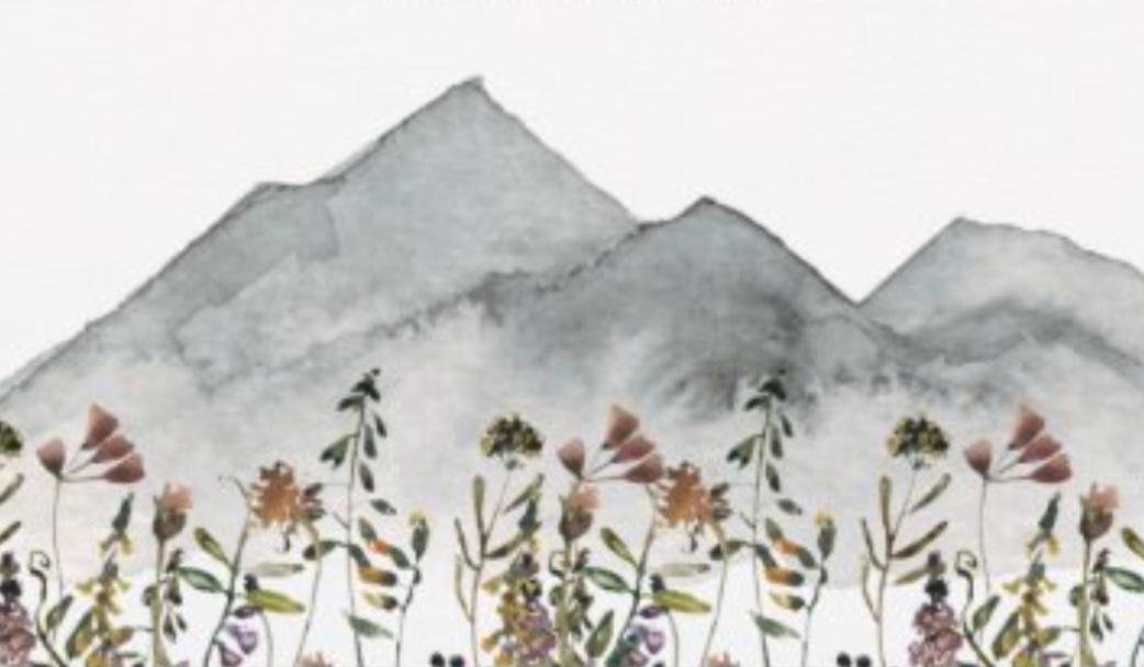 b7128ce3-c67b-4322-a9dc-ced40e3c8147