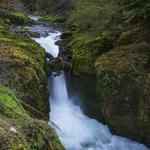 Deschutes Falls Park