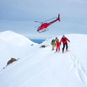Heli-skiing on our Honeymoon!