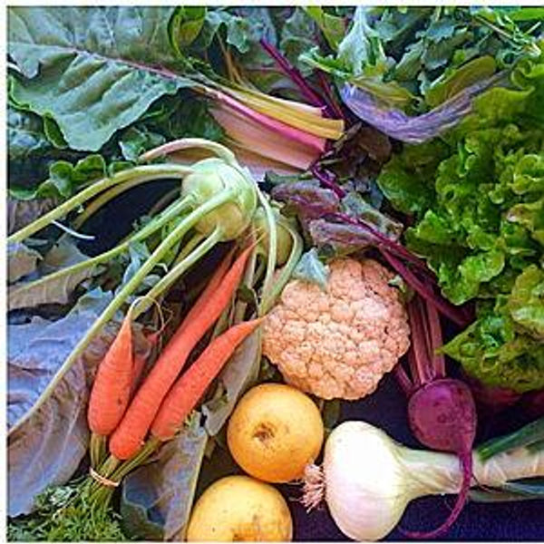 Community Sustained Agriculture Share (Fund)
