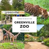 Greenville Zoo