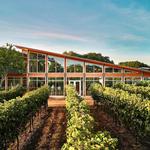 William Chris Vineyards