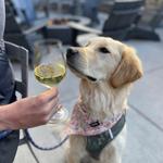 Bigsby's Folly Craft Winery & Restaurant