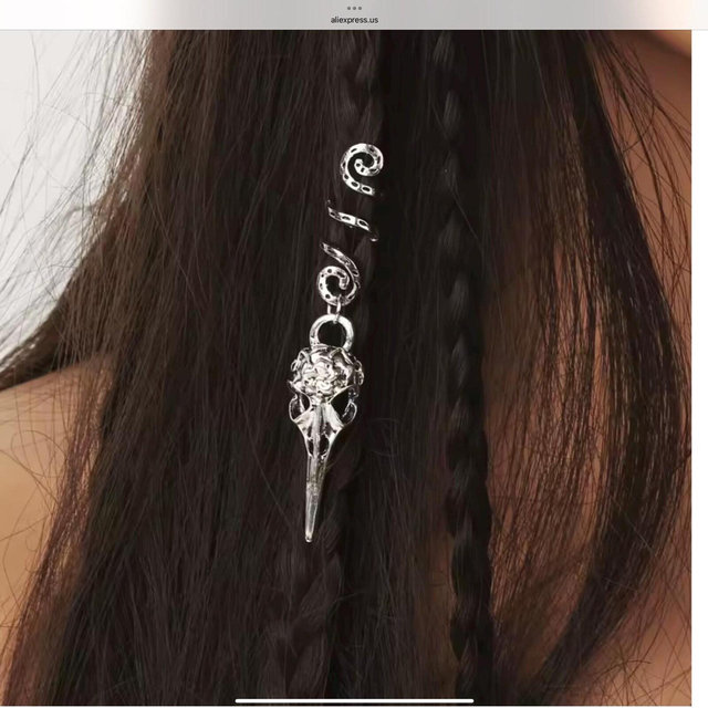 Raven Skull Hair Spiral Charms Braids Twist Clip Set of 2