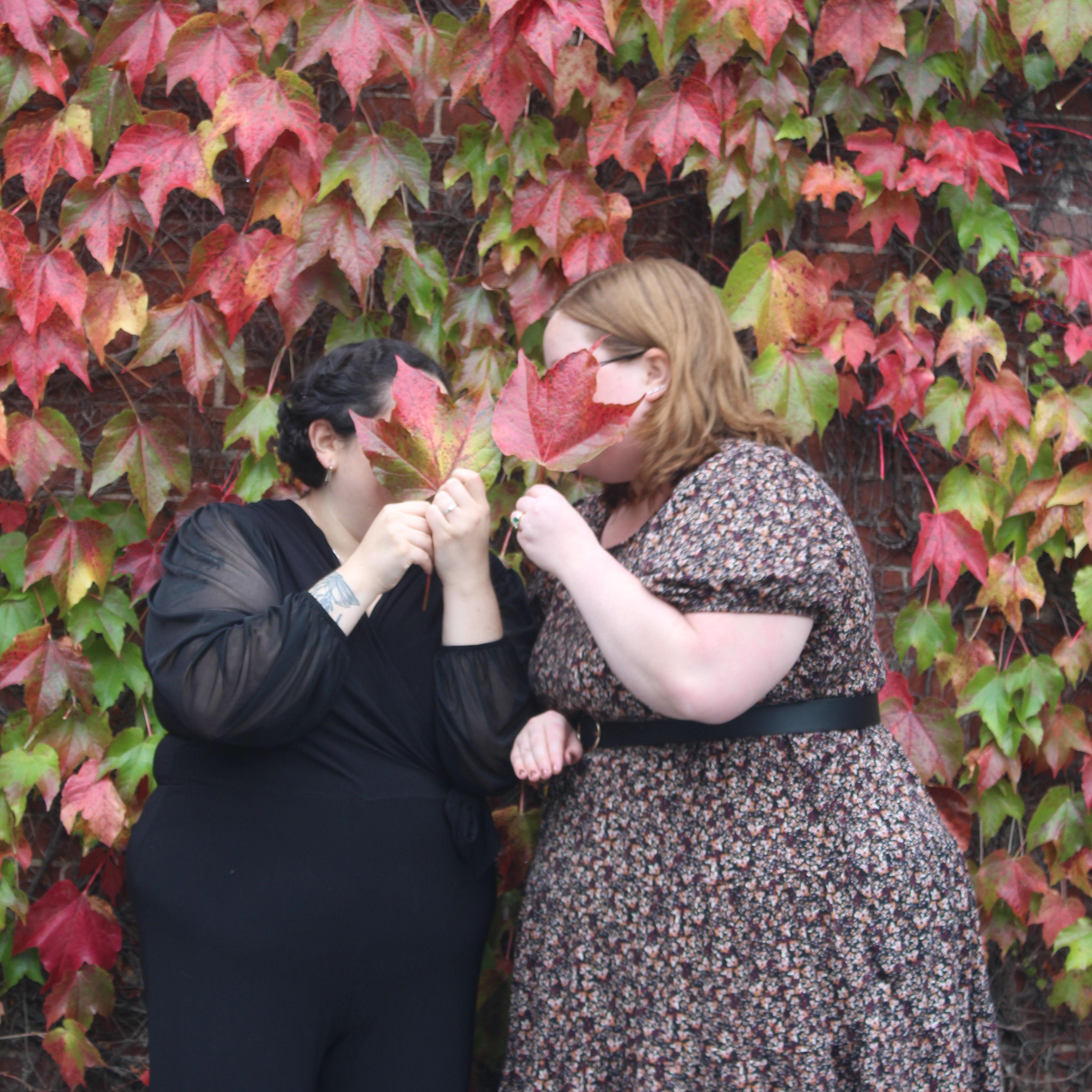 Hero Slideshow Image 0