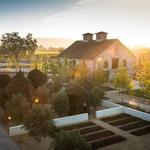 HALL Wines St. Helena