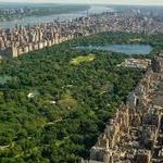 Central Park