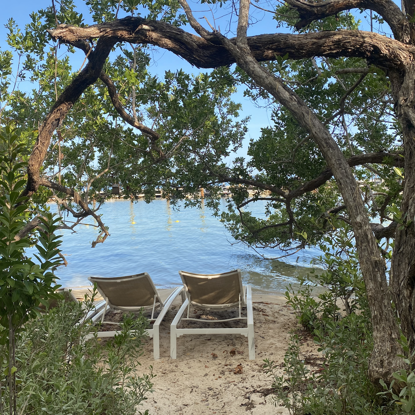 Private Hammock Beach