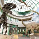 North Carolina Museum of Natural Sciences