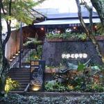 ROCOTO Restaurant (Peruvian Food)