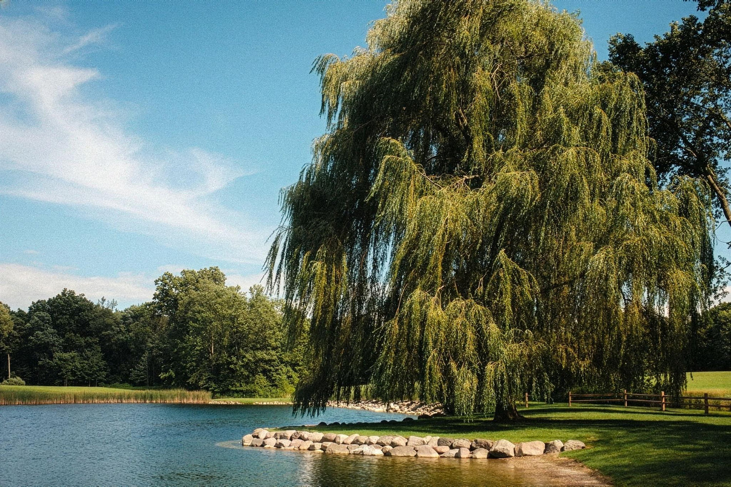 The Wedding Website of Chelsea Benninger and Levi Robert