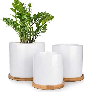 HOMENOTE Ceramic Planters White Indoor Plant Pots Set of 3, Round Cylinder Tall Garden Pots with Drainage Bamboo Trays for Plants Flowers Succulents