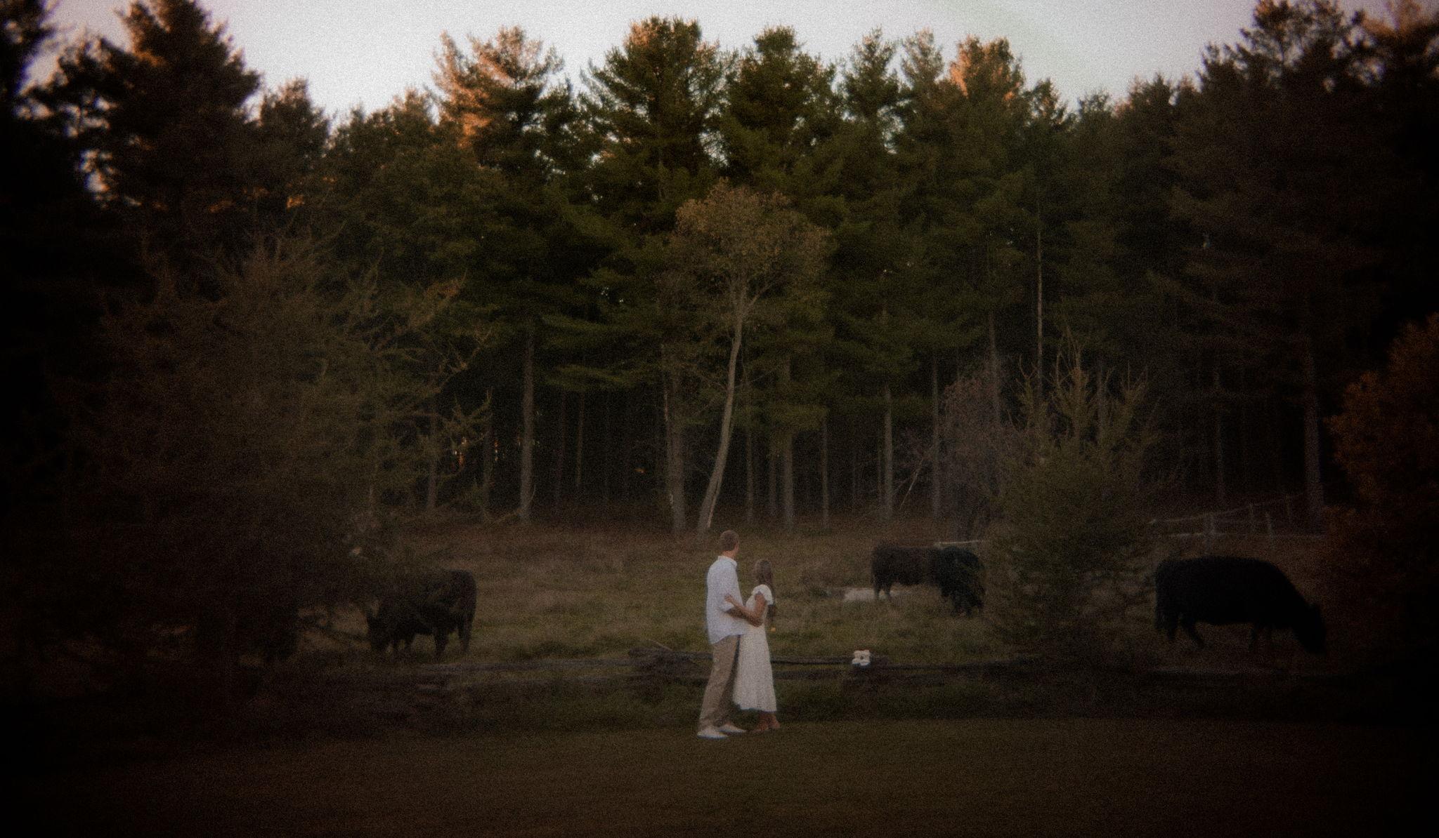 Hero Slideshow Image 5