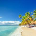 Saona Island Tours