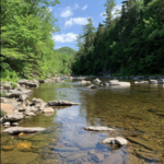 Chesterfield Gorge
