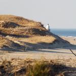 Cape Henlopen State Park