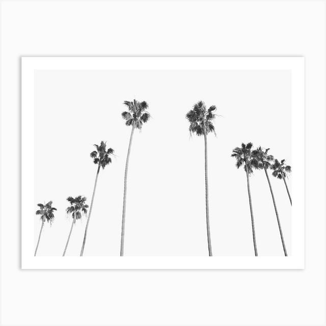 Framed Palm Trees Vintage Landscape Art Print