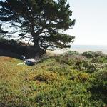 Point Reyes Hikes