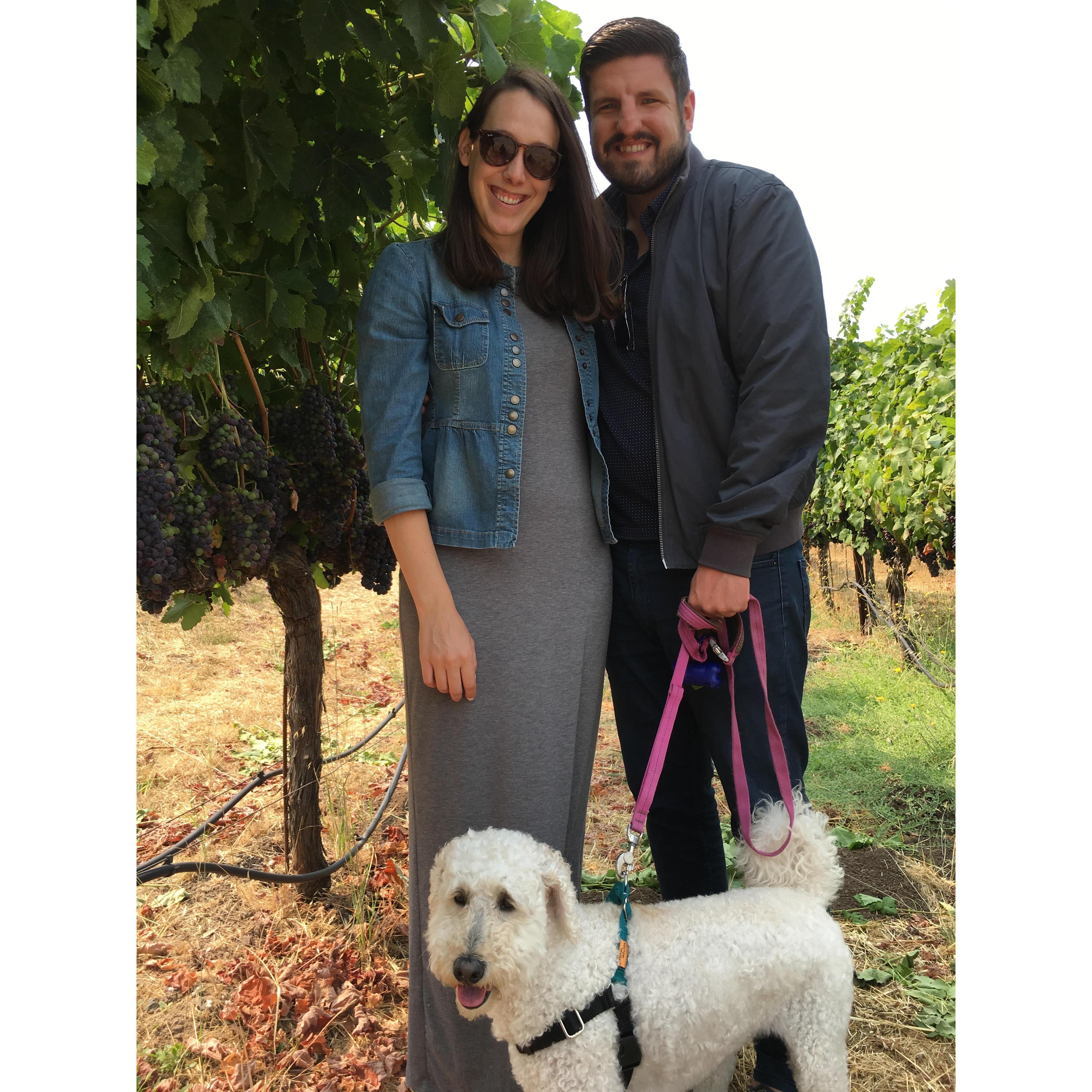 We made a stop in Napa on our road trip down to Los Angeles, to start a long-distance year for Michelle's residency. Henley would like to know why we haven't purchased her a vineyard yet.