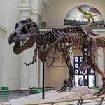 Field Museum