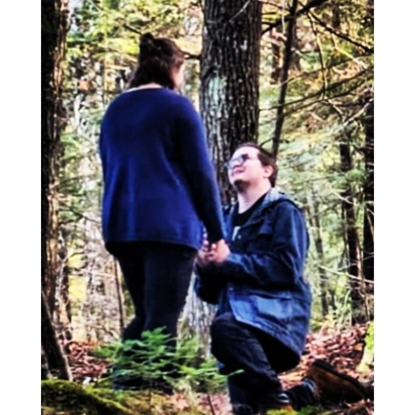 When Robert Proposed