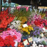 The Fayetteville Farmers' Market