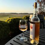 Barren Ridge Vineyards