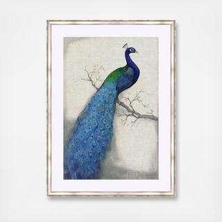 Peacock Blue I Framed Wall Art
