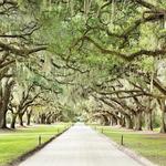 Boone Hall Plantation & Gardens