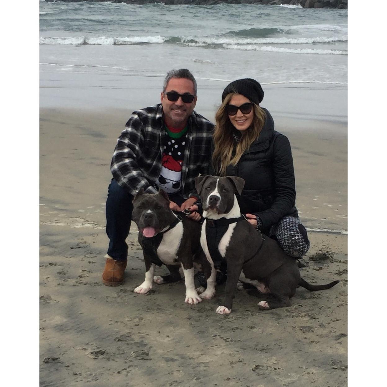 Our first Christmas with our babies, Rocket and Dash. San Diego 2018