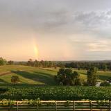 Enoch's Stomp Vineyard & Winery