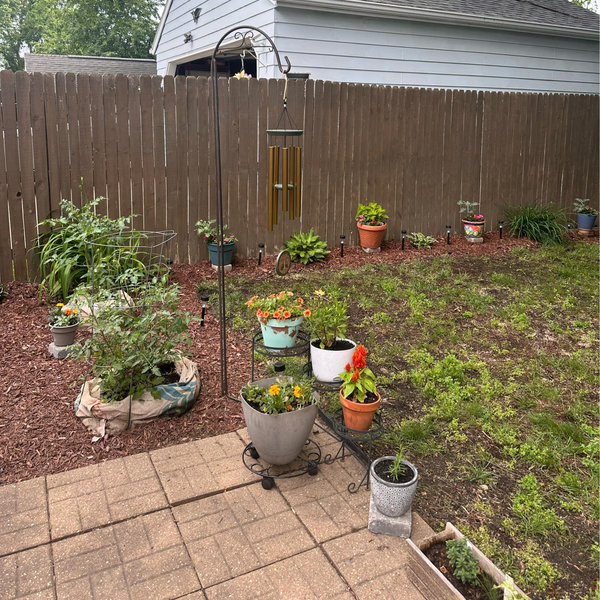 Back patio and yard redo!!