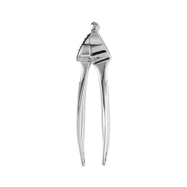 Essentials Stainless Steel Garlic Press
