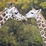 Woodland Park Zoo