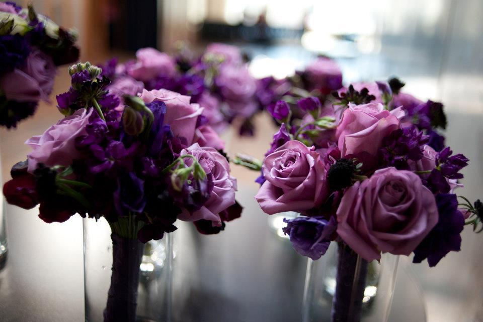 The Wedding Website of Amanda Barger and Brandon Jones