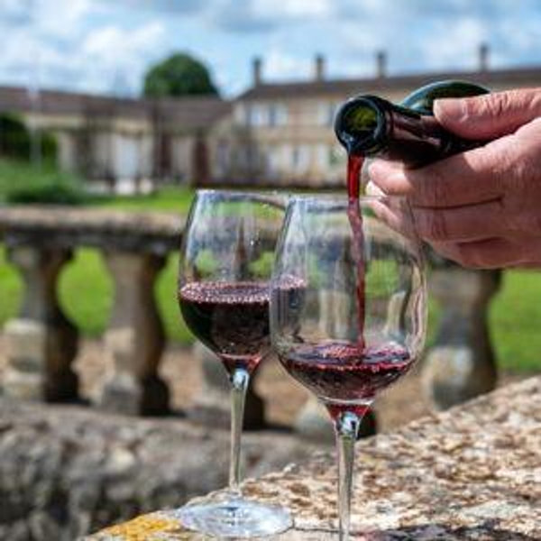 French Château Wines & Countryside Views