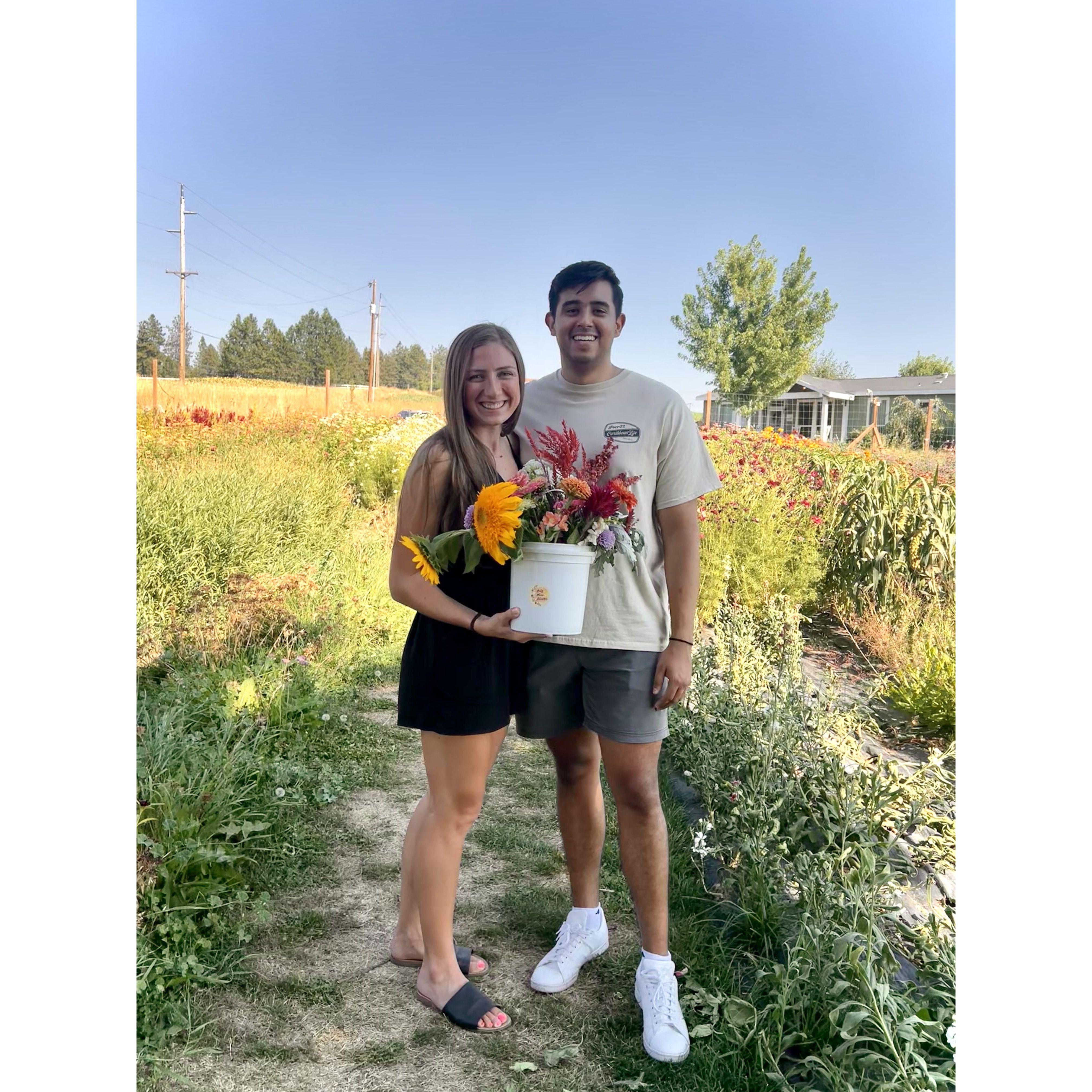 Deer Park U Pick Flowers