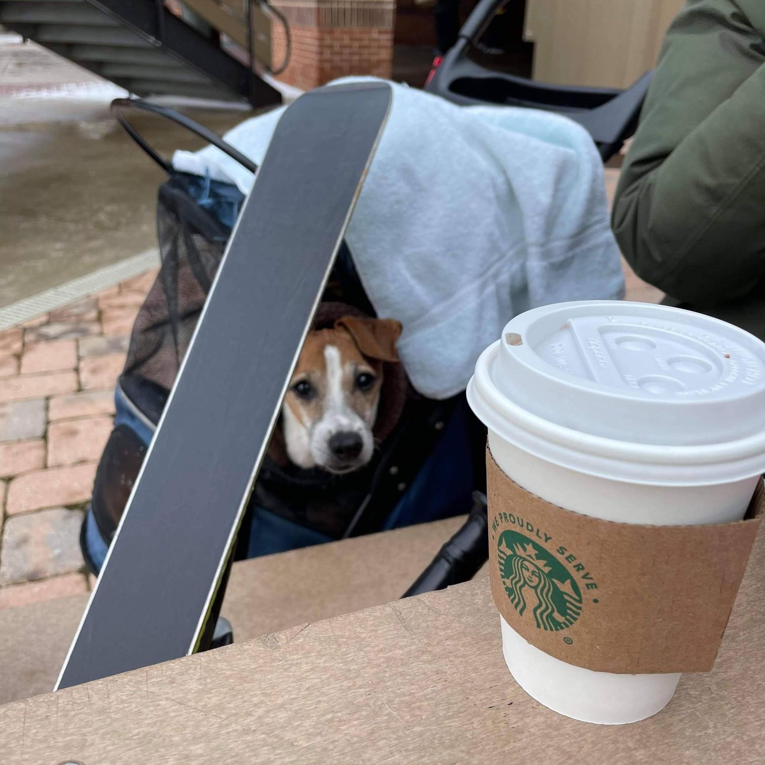 Trip was NOT a snow bunny. Caption: "I wanna go home! It's so cold!"