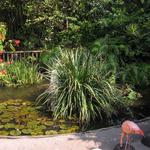 Sunken Gardens